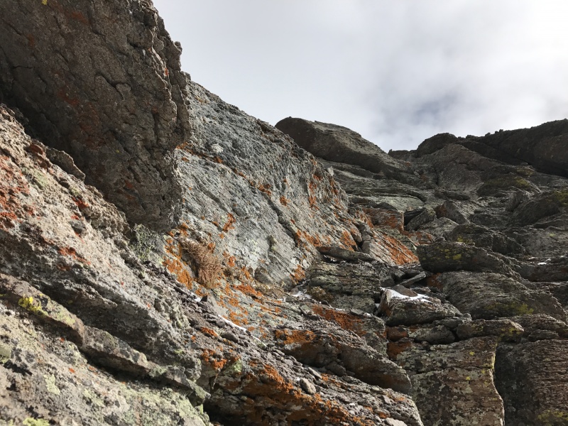 Photo #21 19154_21
