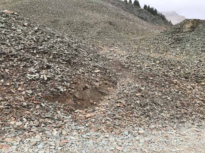 Photo #35 19154_35
