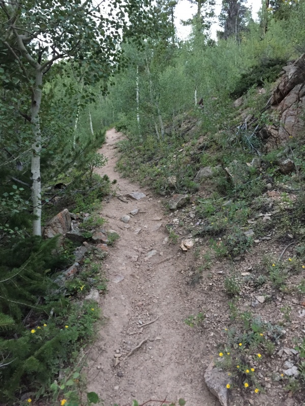 Photo #1 19262_01