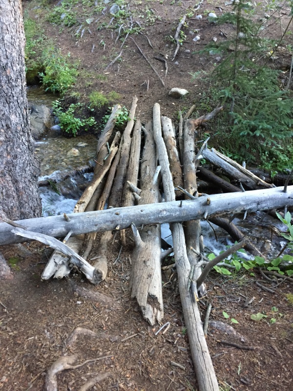 Photo #3 19262_03