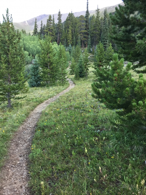 Photo #4 19262_04