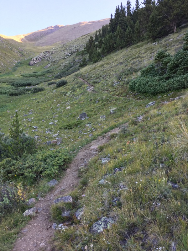 Photo #5 19262_05