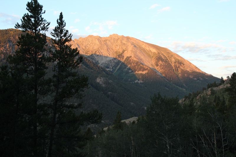 Photo #14 19262_14