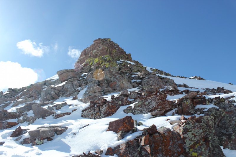 Photo #1 19411_01