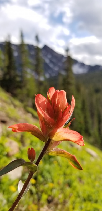 Photo #1 19603_01