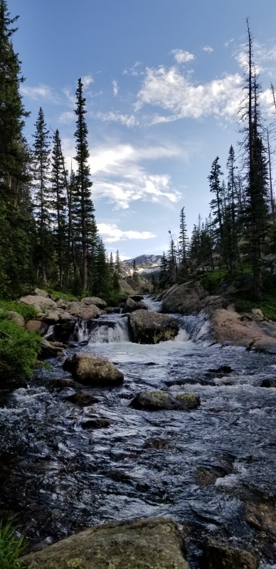 Photo #5 19603_06