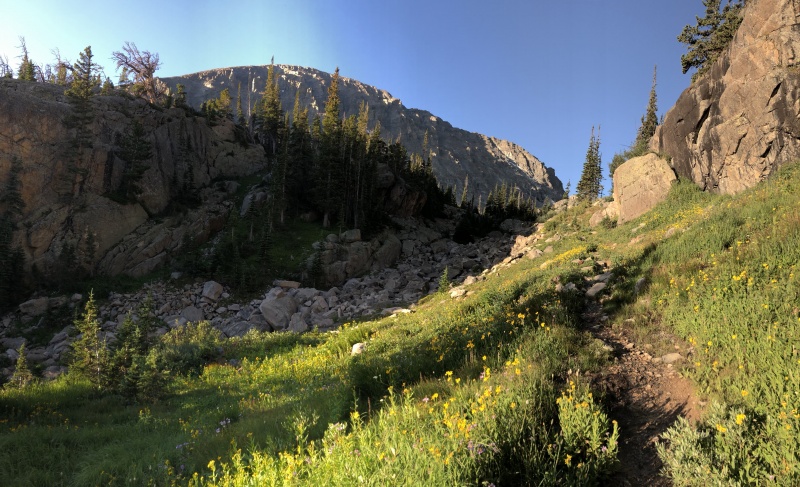 Photo #1 19748_01