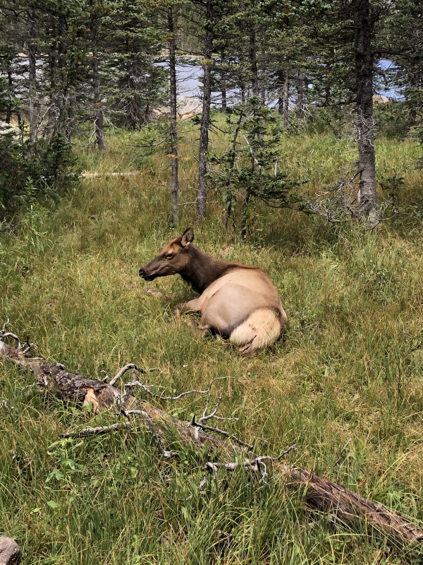 Photo #29 19795_31
