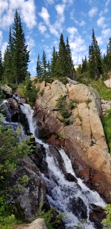 Photo #4 19813_04