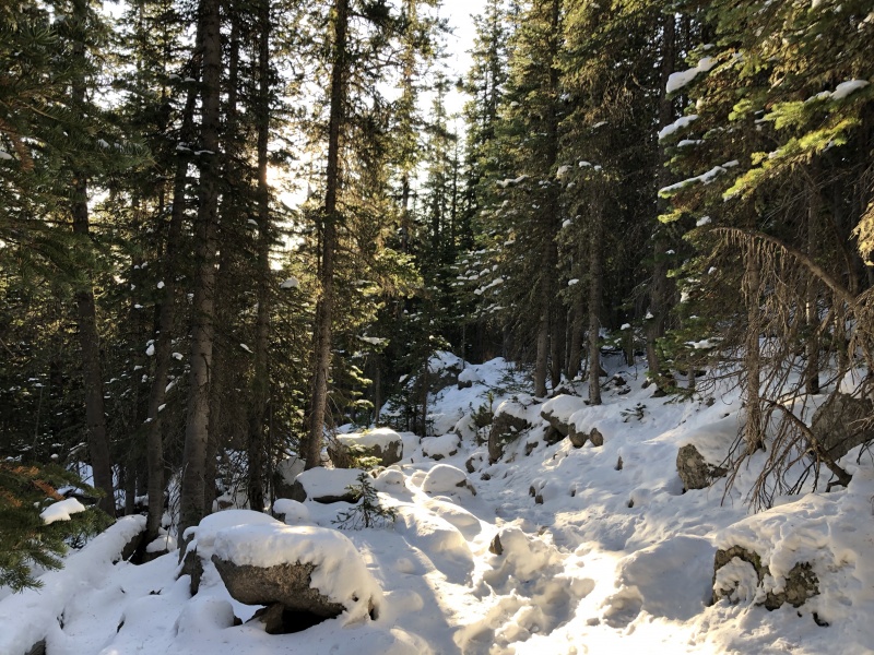 Photo #3 19925_03