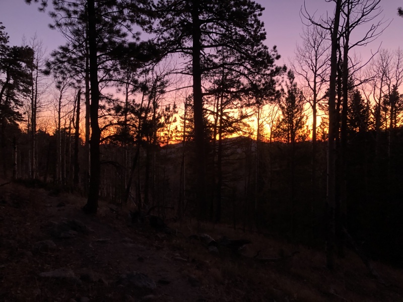 Photo #2 19934_26