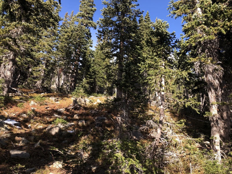Photo #7 19934_31