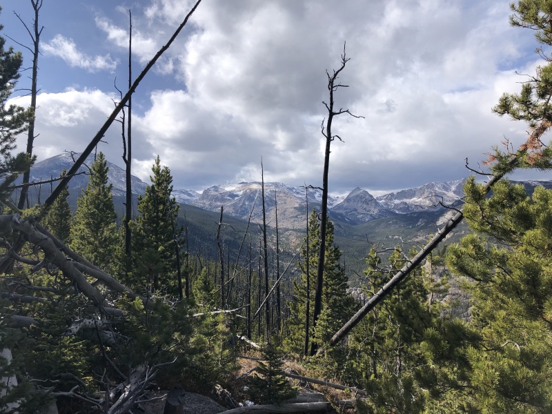Photo #27 19934_51