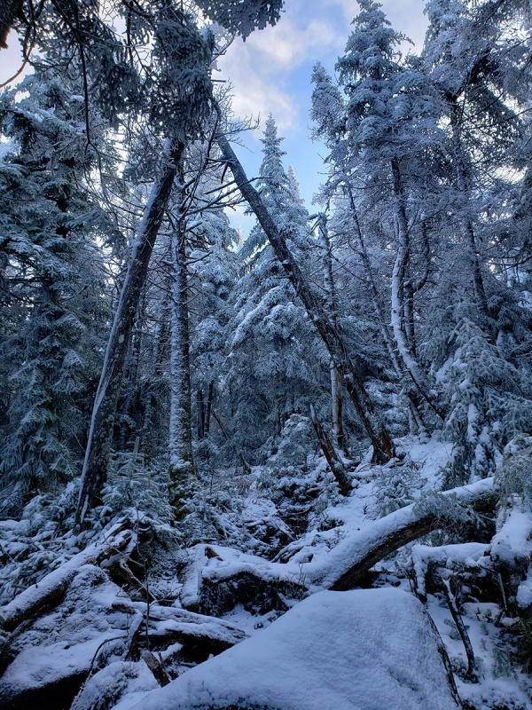 19943_15