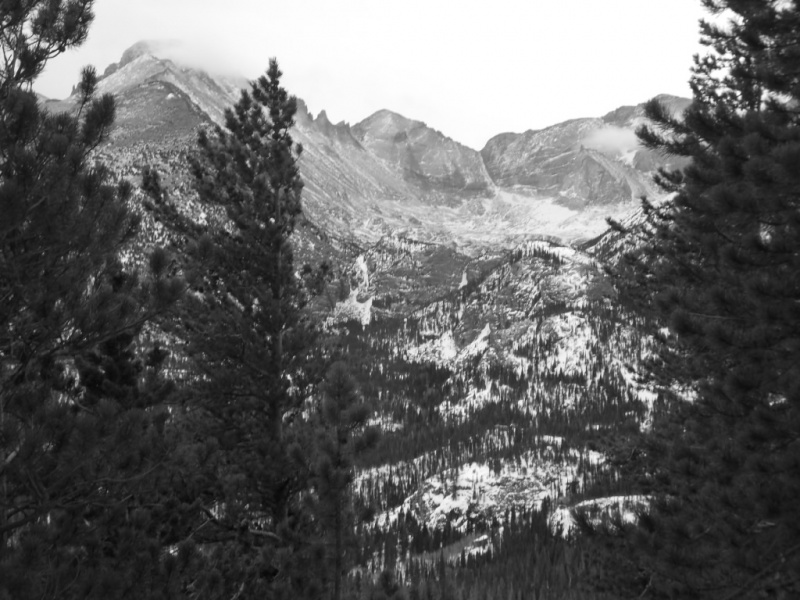 20015_03