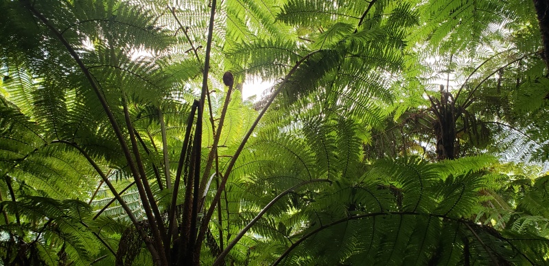 20020_04