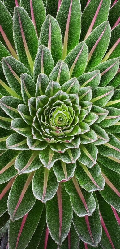 20020_17