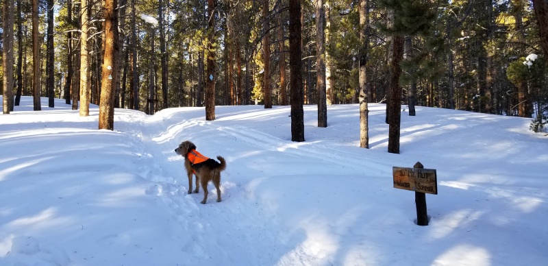 Photo #2 20034_02