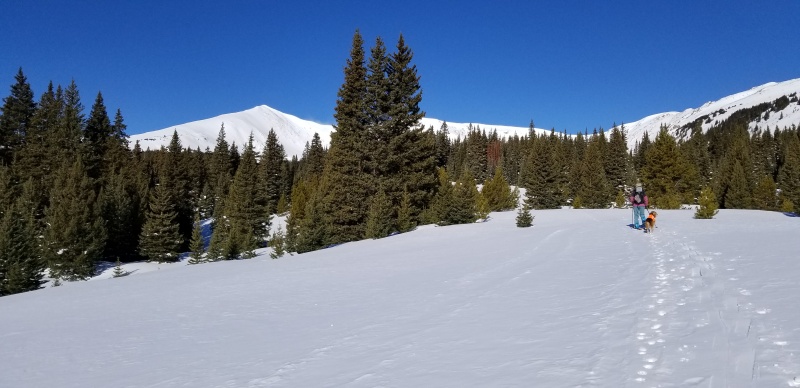 Photo #4 20034_04