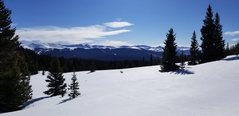 Photo #5 20034_05