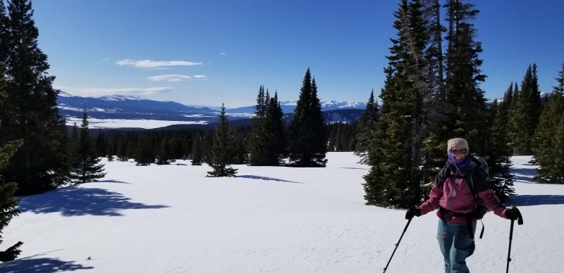 Photo #6 20034_06
