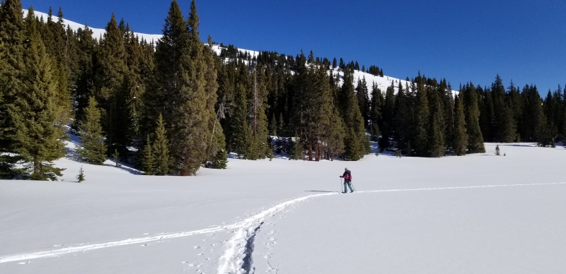 Photo #7 20034_07
