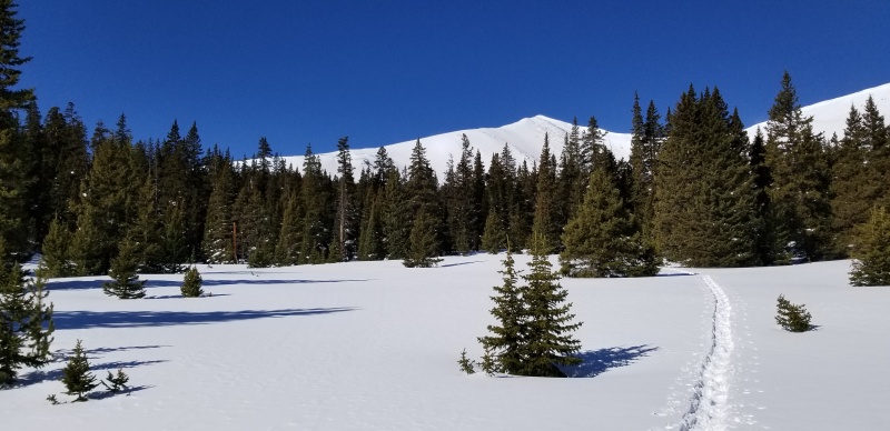Photo #8 20034_08