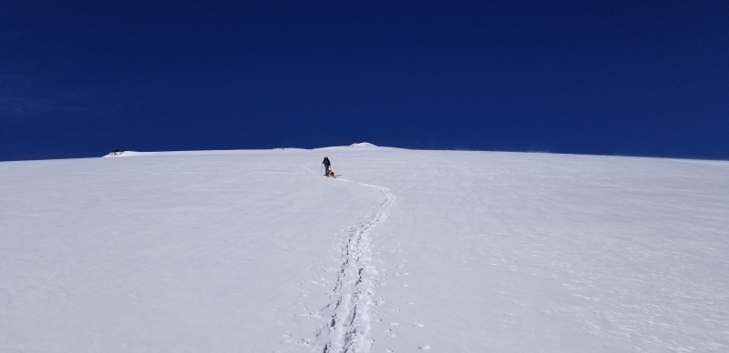 Photo #9 20034_09