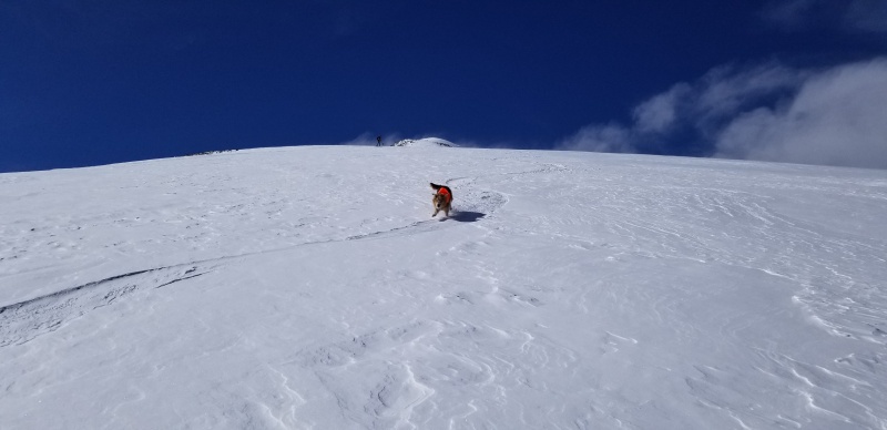 Photo #23 20034_23