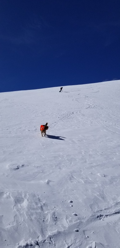Photo #25 20034_25