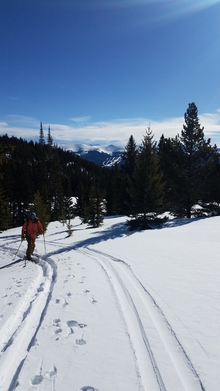 Photo #28 20034_29
