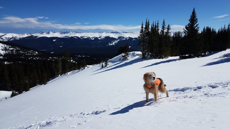 Photo #30 20034_31