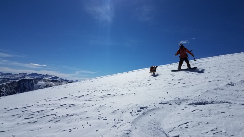 Photo #34 20034_35