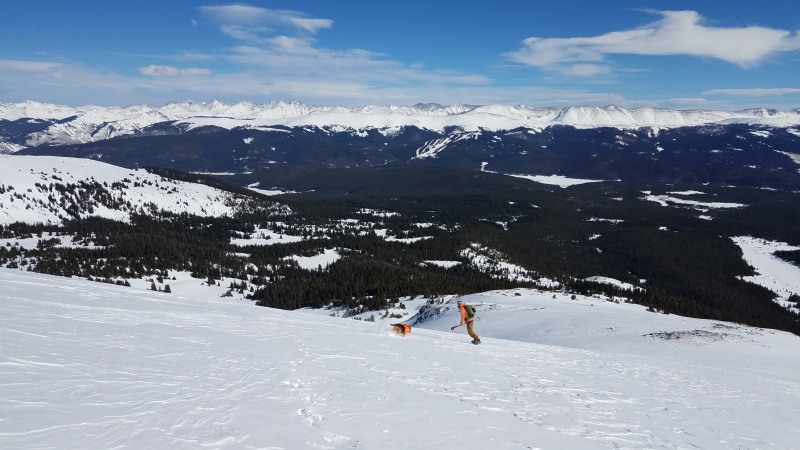Photo #36 20034_37