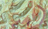 47