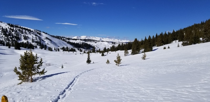 Photo #5 20053_05