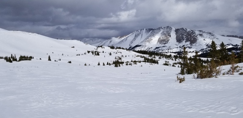 Photo #40 20053_40