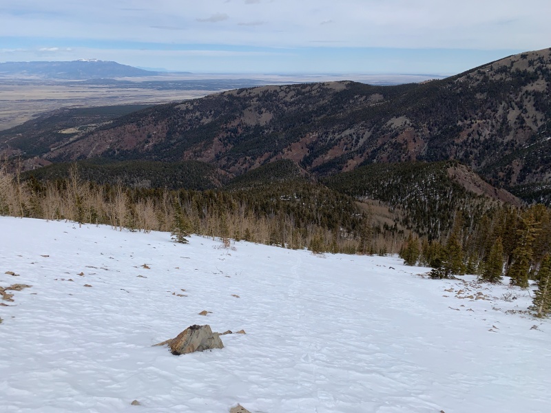Photo #8 20065_08