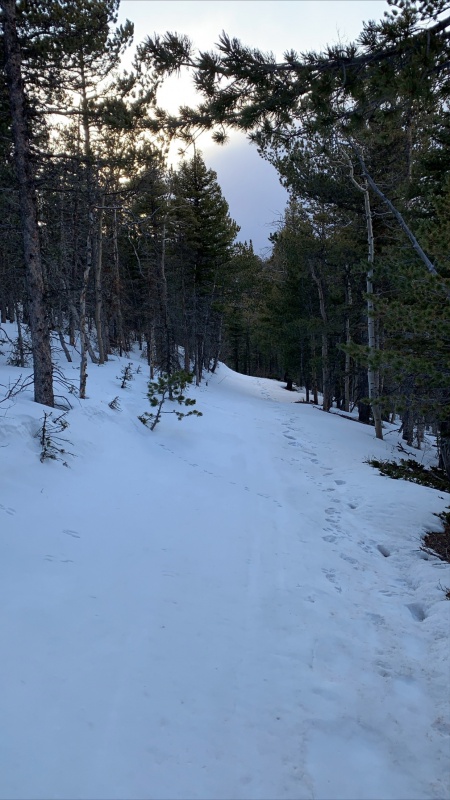 Photo #15 20065_15