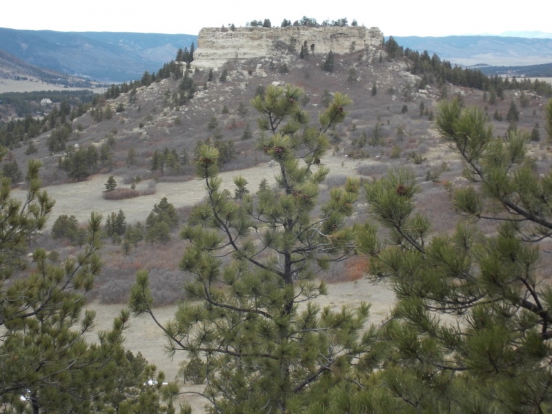 20066_16