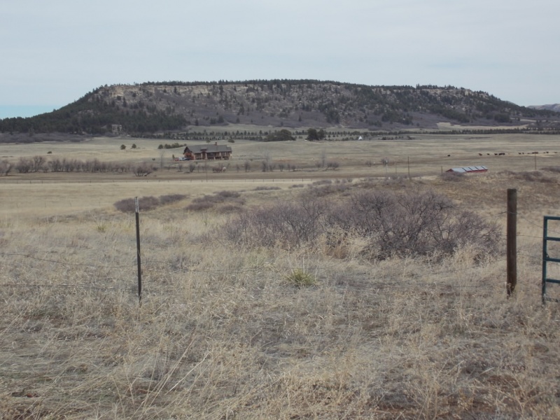 20066_33
