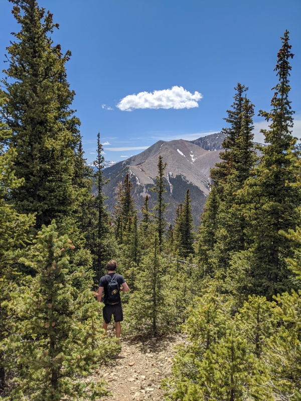 Photo #9 20113_09