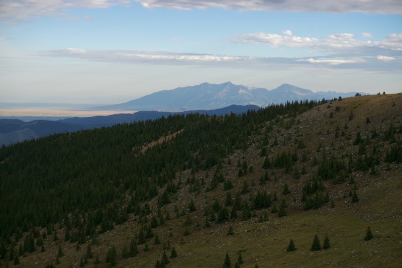 Photo #2 20288_02