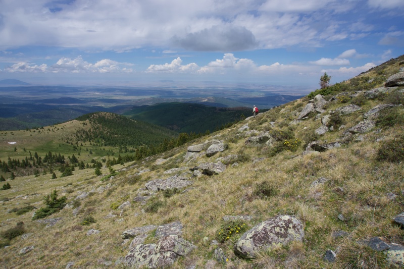 Photo #9 20288_09