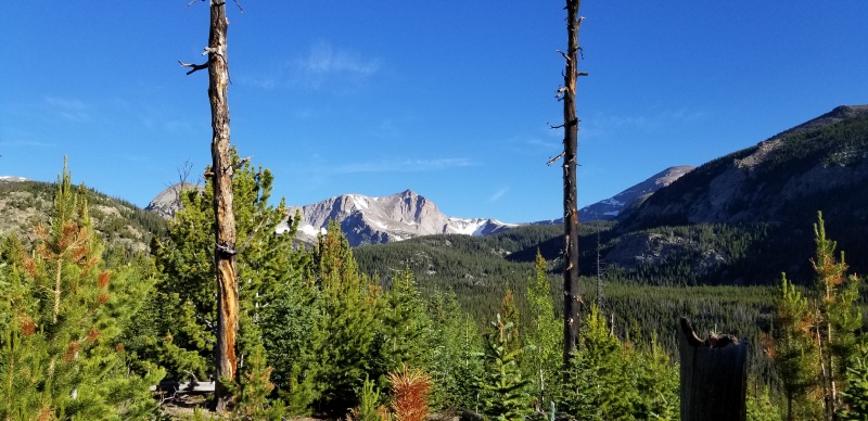 Photo #1 20291_01