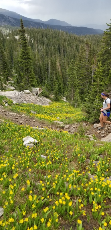 Photo #26 20291_28