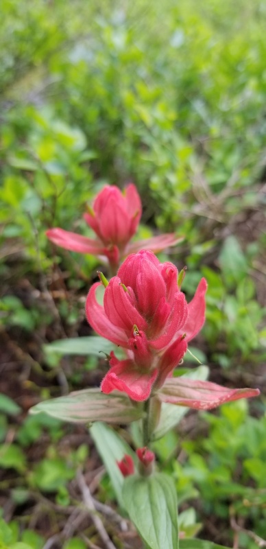 Photo #32 20291_34