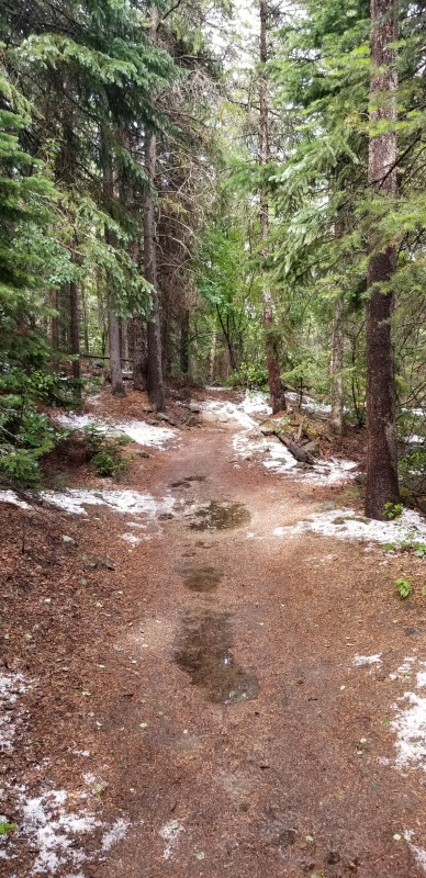 Photo #35 20291_37