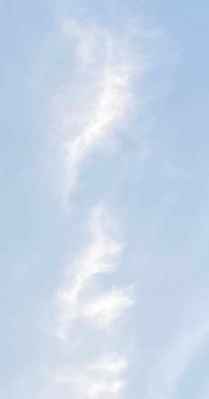 21651_13