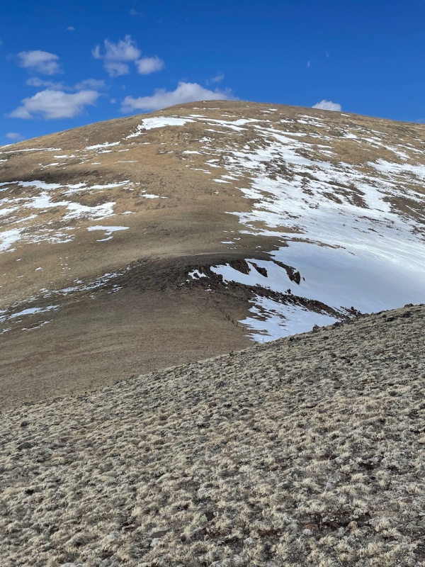Photo #2 22040_02